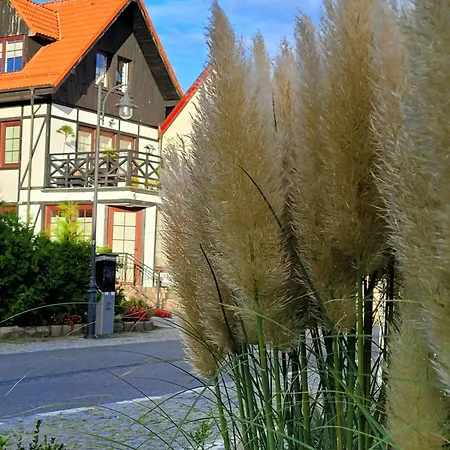 Dom Aptekarza Homestay szállás *