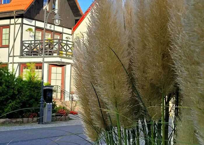 Dom Aptekarza Homestay szállás *